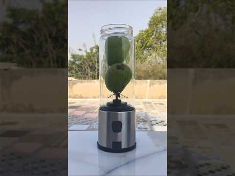 Whole Raw Mango 🥭 vs Mini Blender 😍