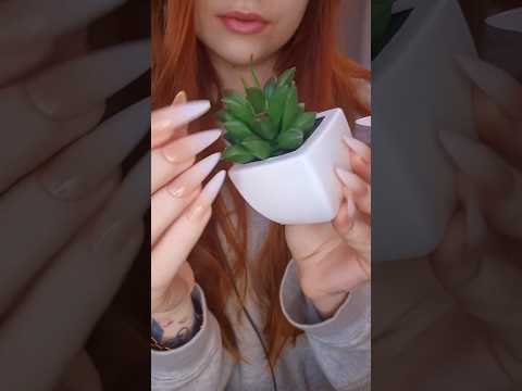 fake plant asmr💚#asmrvideo #relax #fakeplants #asmr #asmrsounds #plantasmr #tappingtriggers #relax