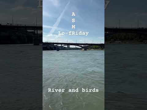 Lo-fRiday ASMR 🌙 River and birds #soothing #relaxation #asmr #lofiasmr #watersounds #birdsounds