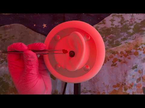 Picking Stones Out Of Your Ears | ASMR + Visual Triggers