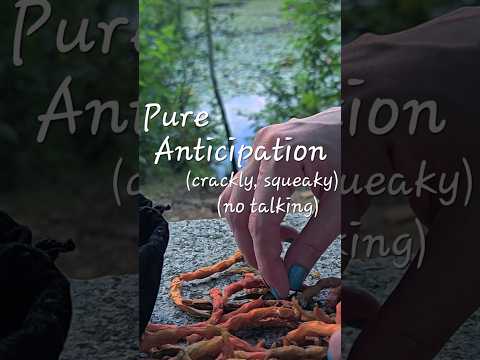 Pure Anticipation (no talking)  #asmr #relax #visualtingle #crackly #crackling #squeaky #notalking