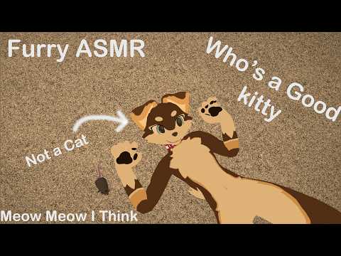 [Furry ASMR] Who's a Good Kitty