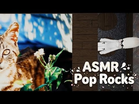 Roblox ASMR ~ Pop Rock Sounds 