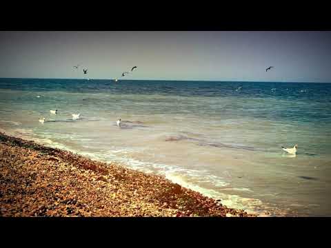 Relaxing Meditation with Sea Water Sounds