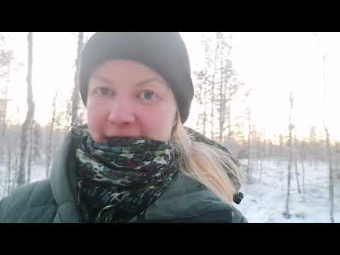 Asmr in English - A walking tour in a snowy Finnish forest 🌲  Snow sounds ❄️ Soft spoken with accent
