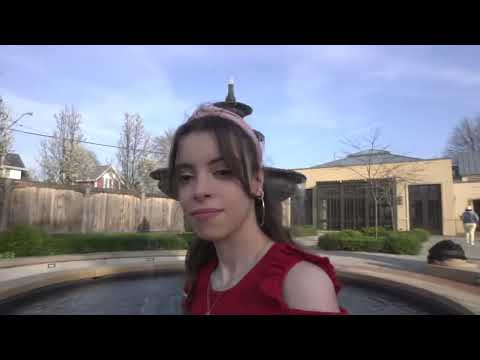 Beautiful fountain! #asmr #waterfountain #waterfall #calming