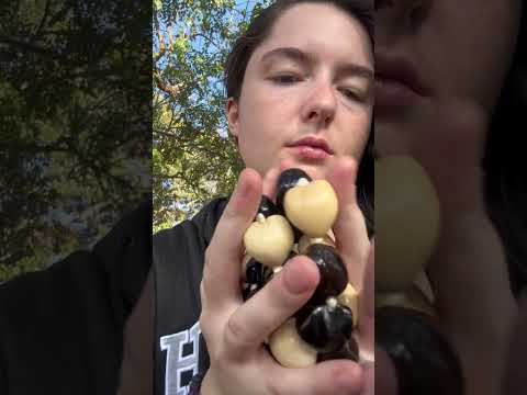 How do we feel about the sounds this Kukui tree nut lei make?