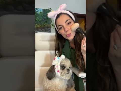 ASMR aplicado na Angel ( Shihtzu) #shorts