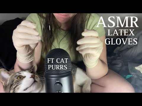 ASMR latex gloves ft my purring cat