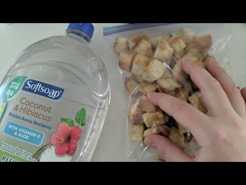 Best 5 lofi Minutes of Your Day ASMR #3