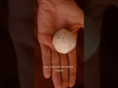 Porque me tornei vegana - parte 2