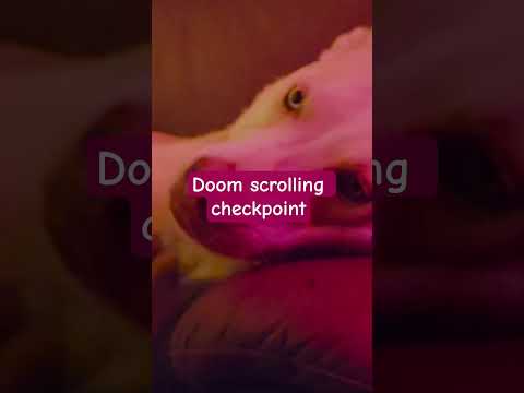 Relaxing ASMR Dog Scratching 🐶 Tingly Pet Sounds for Sleep & Anxiety Relief [asmr]