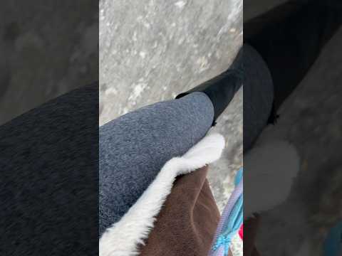 ASMR bei frostigen Temperaturen in einer grauen Leggings. 💕