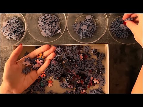 😴ASMR - Sorting and Doing a Puzzle 🧩 close whispers