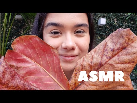 ASMR AO AR LIVRE: SONO RELAXANTE EM 10 MINUTOS | Sons de Folhas