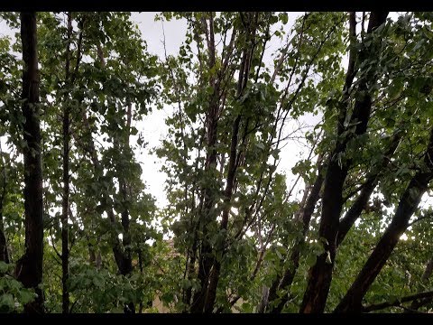 ASMR | ☔ Thunderstorm - Come Join Me on My Patio ⛈️ | No Talking