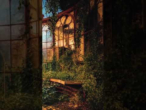 Abandoned Greenhouse at Hogwarts ◈ #shorts Harry Potter inspired Ambience |