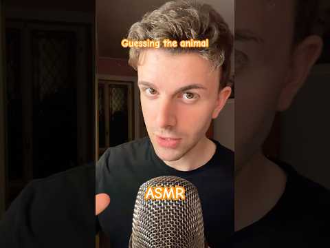 Guessing the Animal #shorts #asmr