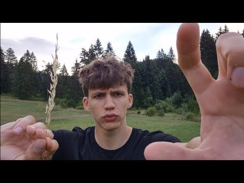 failed art school in austria... ASMR