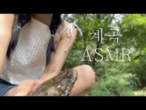 같이 시원해질래? 계곡ASMR💦