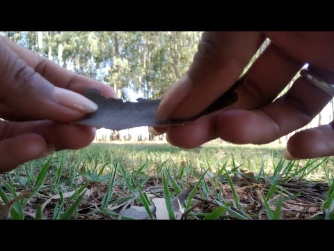 ASMR NO CAMPO / SONS DA NATUREZA [ sounds of nature ]