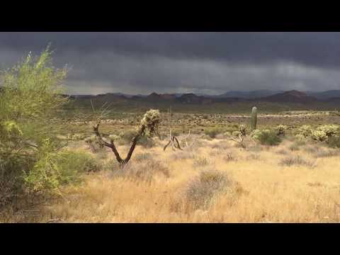 ASMR Nature Visuals and Relaxing Inaudible Whispers