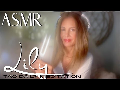 LILY  ☯️ ASMR Tao Daily Meditation✨ DAY 307