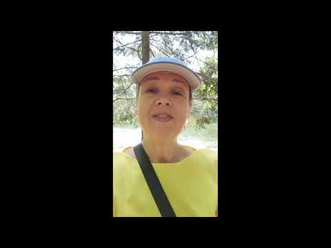 30 Day Walking Challeng - Day 4 #walkingchallenge