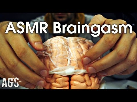 ASMR BRAINGASM (AGS)