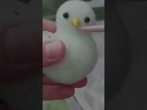 asmr personal attention to inanimate objects
