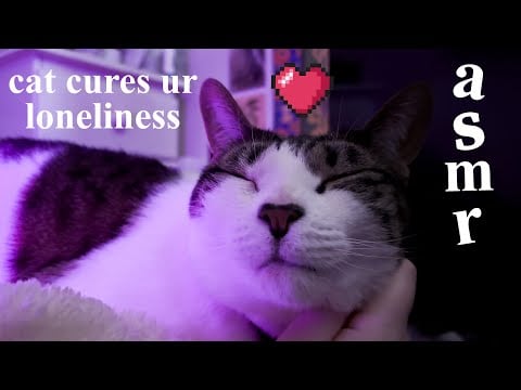 ASMR cat purring to cure your loneliness tonight