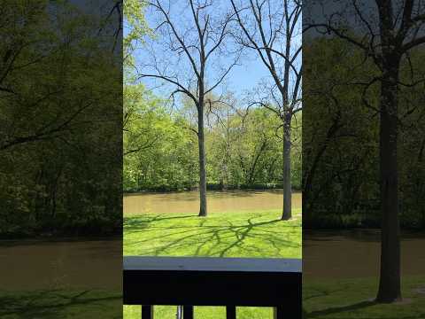 ASMR nature sounds #asmr #asmrsounds #relax #asmrsound #naturesoundsasmr #asmrtriggers #visualtingle