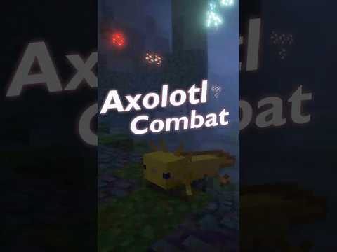 The Combat of a Minecraft Axolotl 🦎