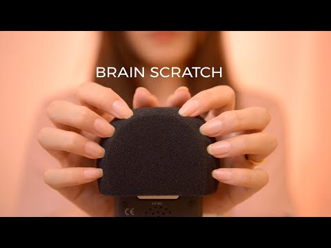 ASMR Thorough Brain Scratch to Make You Sleepy (No Talking)