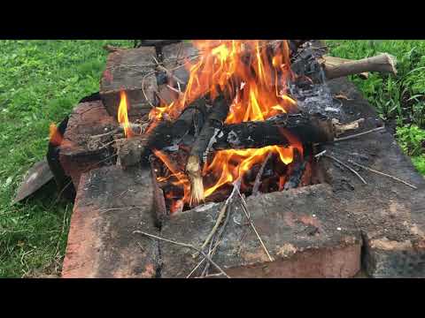 АСМР 🌅Звуки природы🌲Звуки Костра🔥Пение Птиц🐦 ASMR Nature 🌿Campfire Sounds 🔥Birds Singing🐦🌱