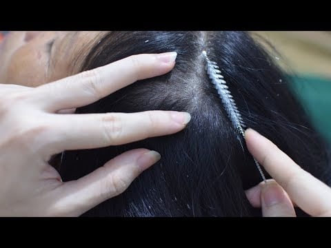 ASMR Scalp Check, Scalp Scratching Real Person No Talking For Sleep ( No Talking )