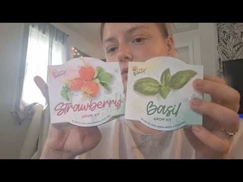 ASMR- Dollar Tree Haul ft. Baby kittens 😭❤️ Update and Rambling lofi