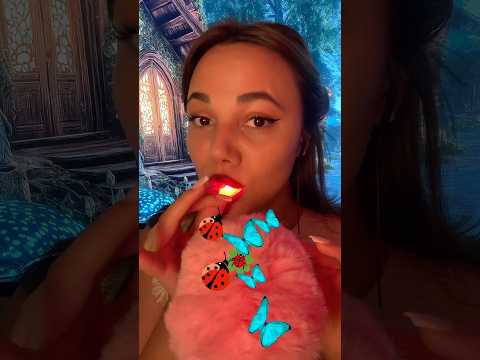 Bugs 🐞🦋😍#asmr #hsyasmr #asmrvideo #recommendations #asmrsounds #asmrazerbaycan #asmrsounds