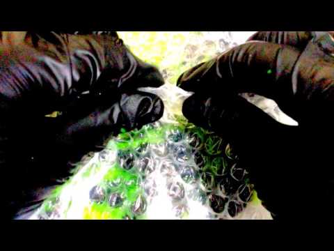 Latex Gloves✺◟ THE ARISE of a SWAMP THINGY◞✺  [[ASMR]]