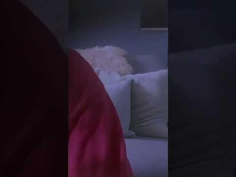 Se hele videoen (DANSK ASMR)