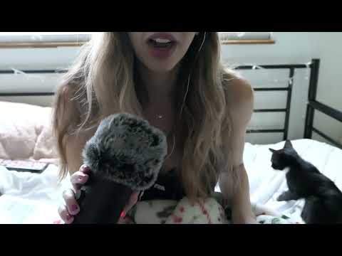 ASMR with my kitten + why I own 30 cats 🐾