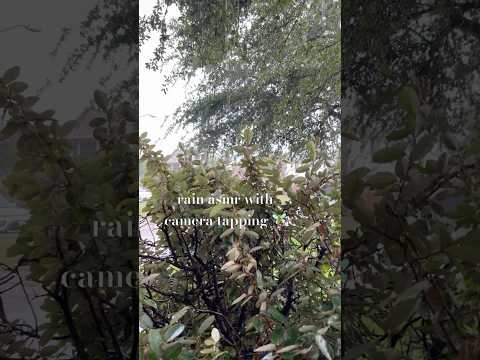 it’s been raining all day 🦦 sorry for the cars 😔💔🙏🏽 #asmr #relaxing #relax #rain #rainsounds