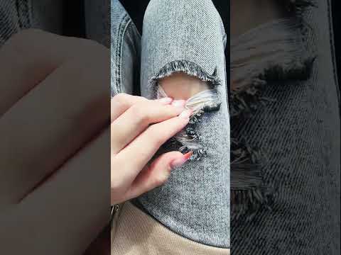 ASMR Scratching jeans #asmr #asmrvideo #scratch #jeans