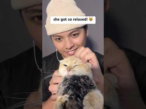 I Gave My Cat an ASMR Massage… This Happened 😳🐱