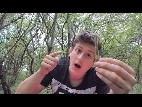 ASMR Sm*king A Cigar Outside 🌱