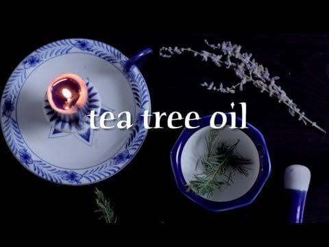 ASMR | All About Essential Oils: Tea Tree