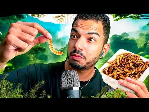 ASMR Je mange des insectes
