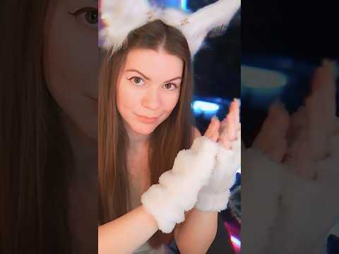 stroking the cat's paws Asmr #асмр #asmr #shots #asmrvideos