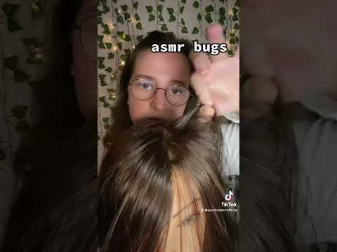 asmr bugs 😴 #shorts #asmrshorts #shortsvideo