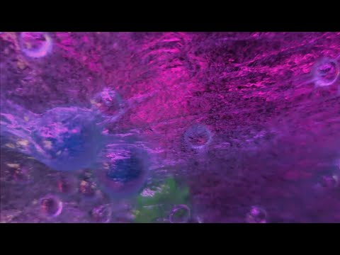 🫧 Slimey Slimey Slimey Symphonic Slime Sounds 🫧 ASMR